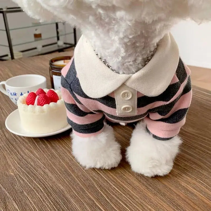 Dog Clothes Schnauzer Teddy York Shire Polo Shirt Summer Dress